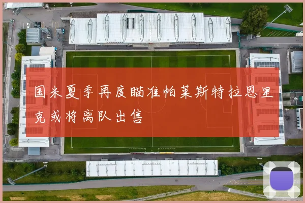 国米夏季再度瞄准帕莱斯特拉恩里克或将离队出售